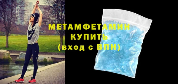 сатива Беломорск