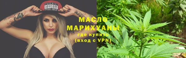 сатива Беломорск