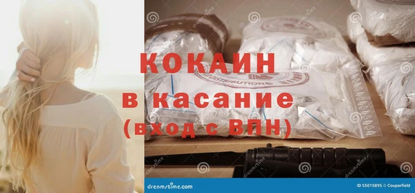 сатива Беломорск