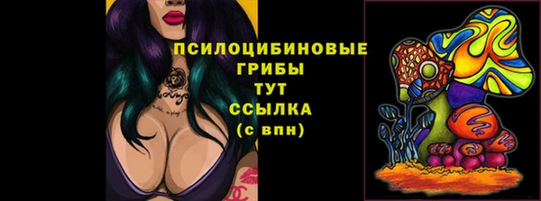 твердый Белокуриха