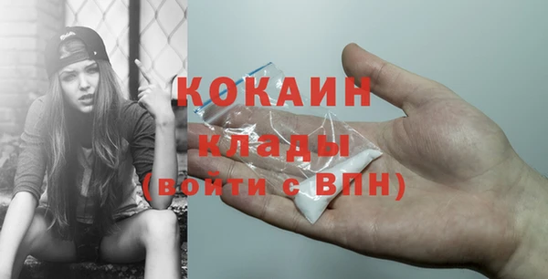 сатива Беломорск