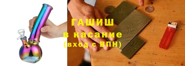 сатива Беломорск