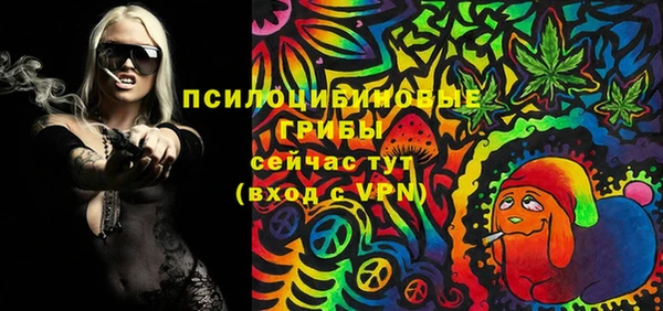 сатива Беломорск