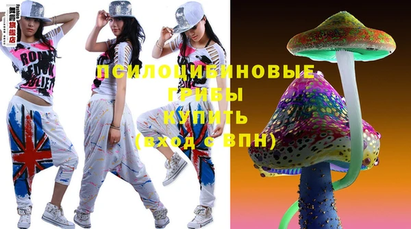 сатива Беломорск