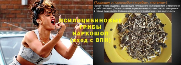 прущие крисы Белоозёрский