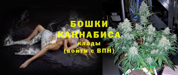 твердый Белокуриха