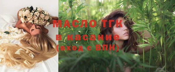 сатива Беломорск